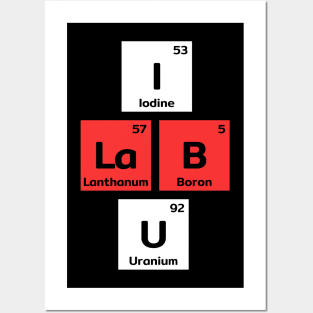 I Lab You - science love Posters and Art